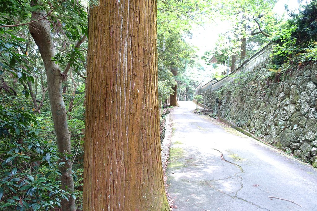 青峯山正福寺