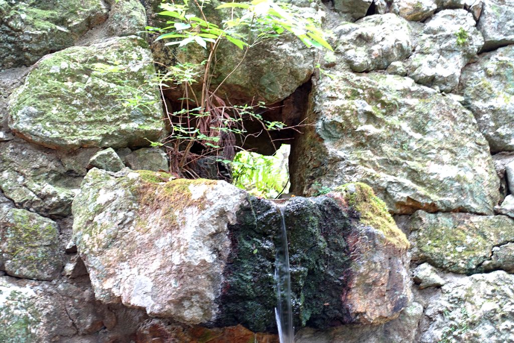 青峯山正福寺