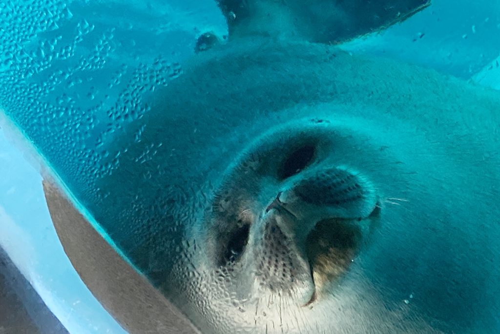 鳥羽水族館