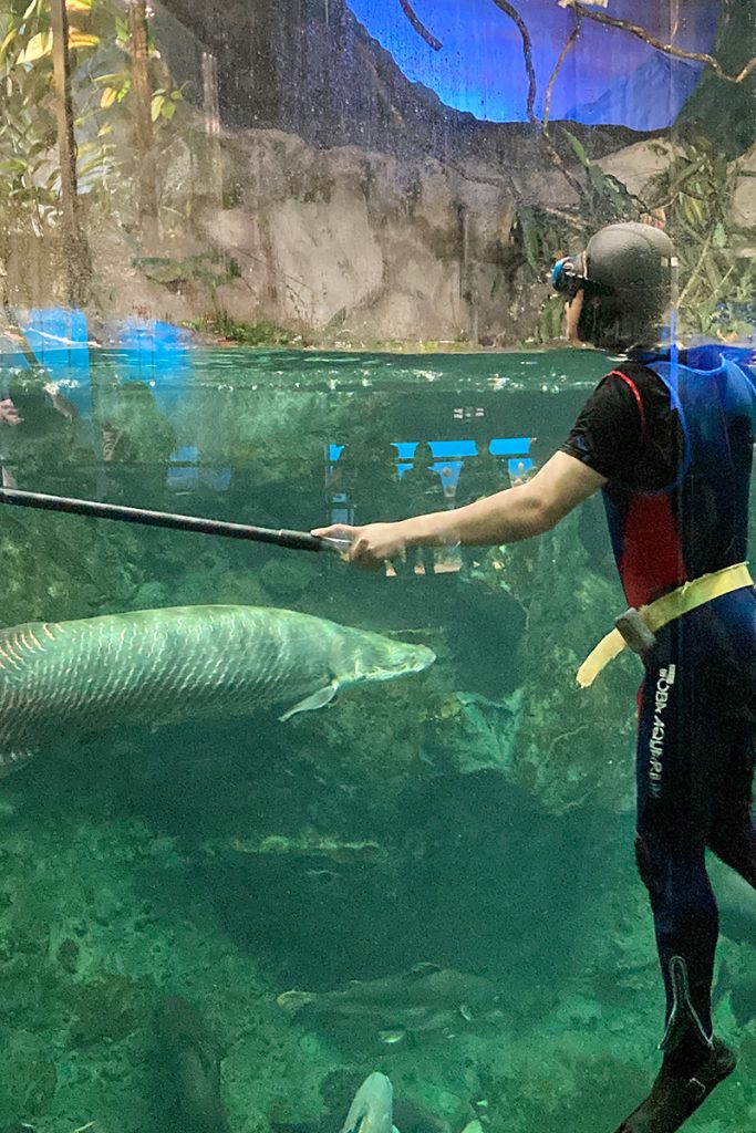 鳥羽水族館