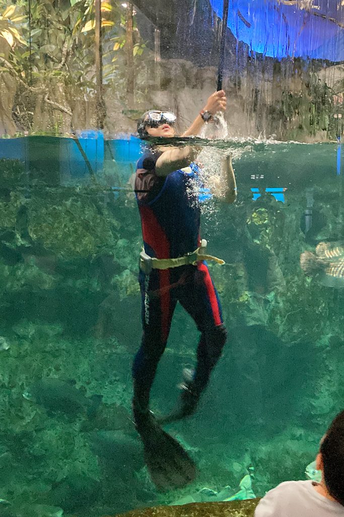 鳥羽水族館