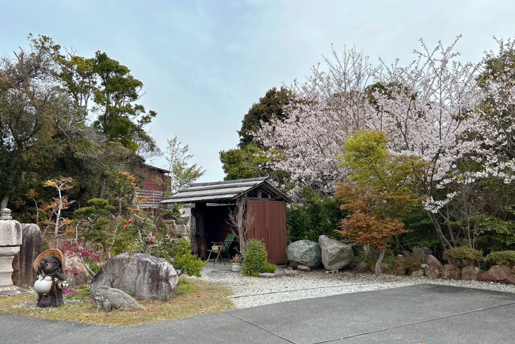 夢遊華の庭園の桜