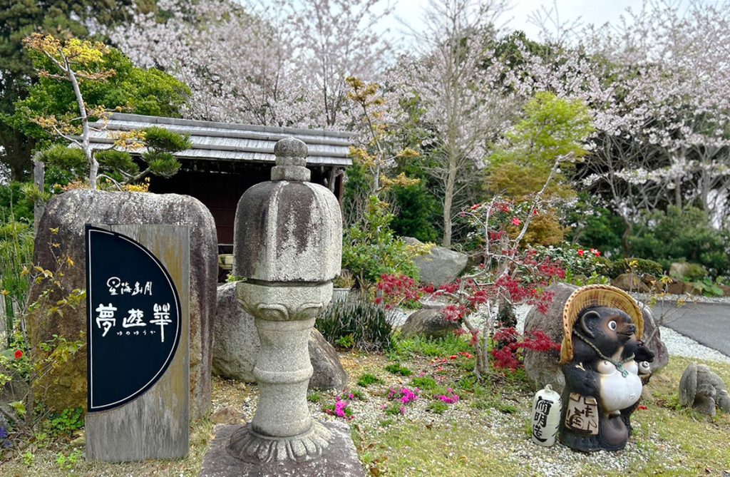 夢遊華の庭園の桜