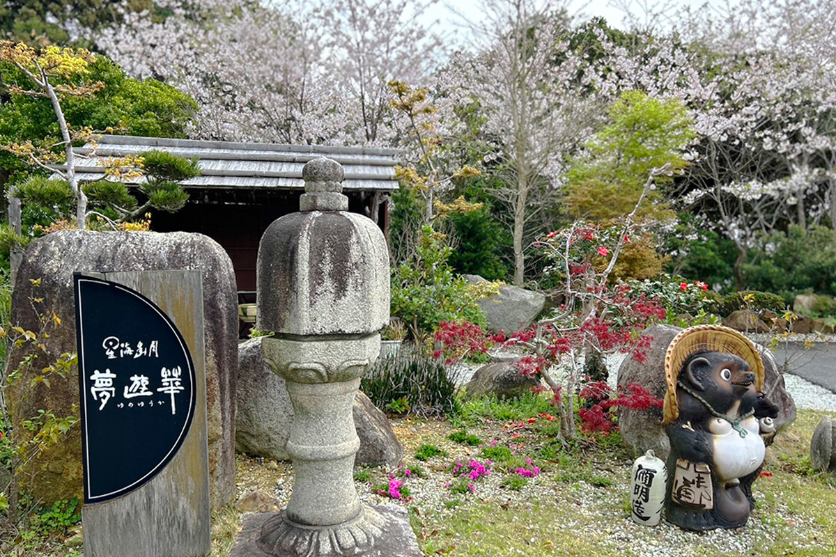 夢遊華の庭園の桜