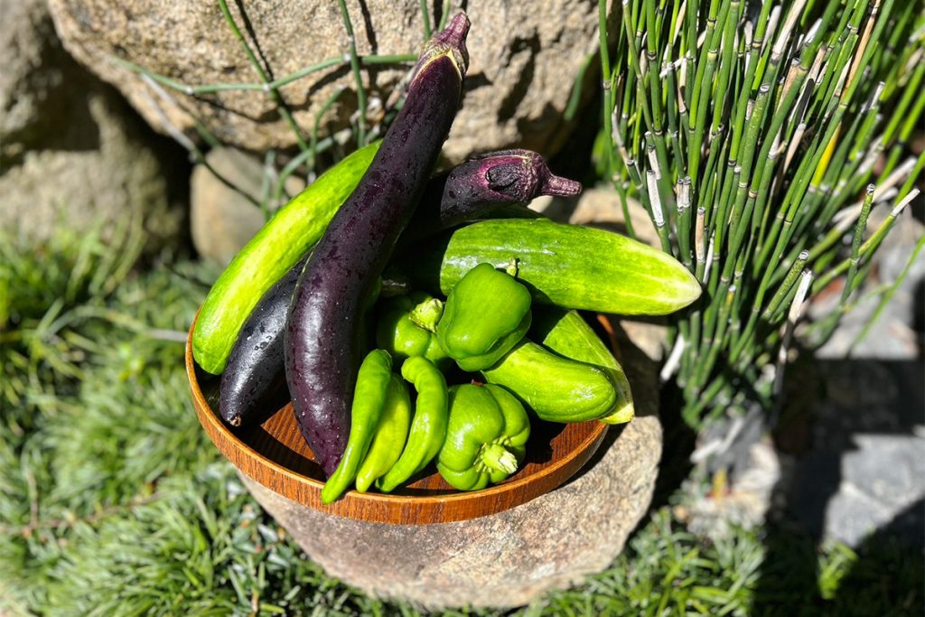 朝採れ野菜