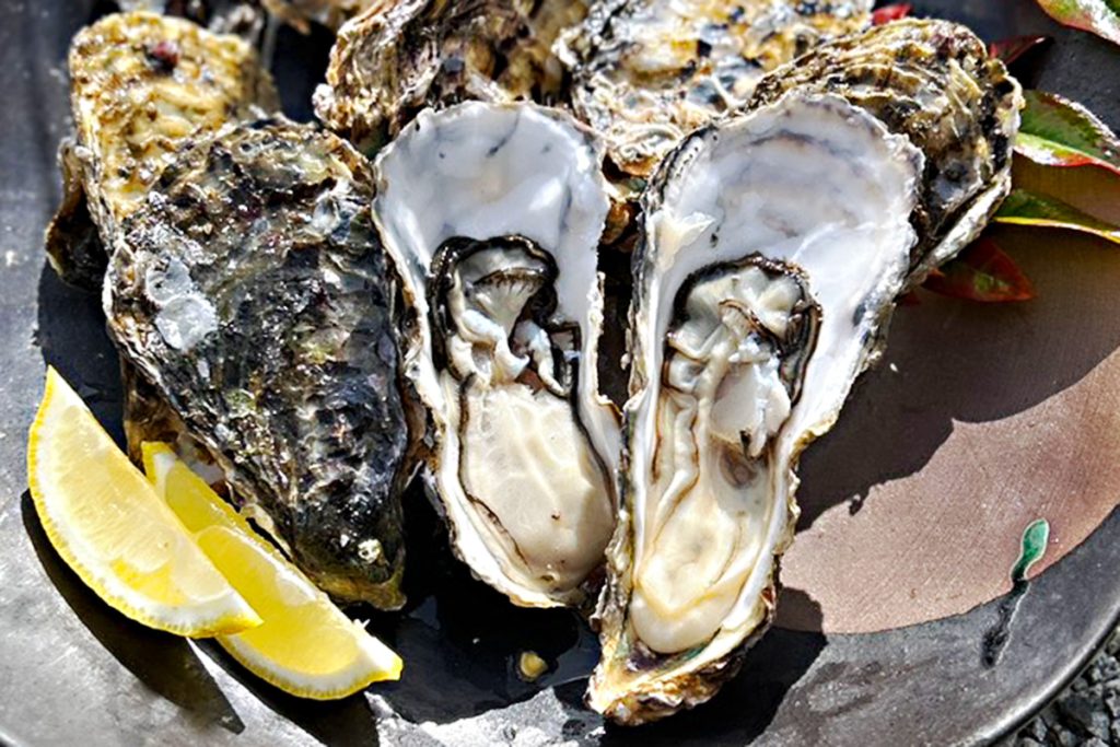 浦村さんの牡蠣